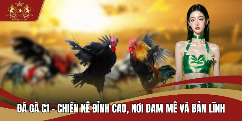 Đá gà C1