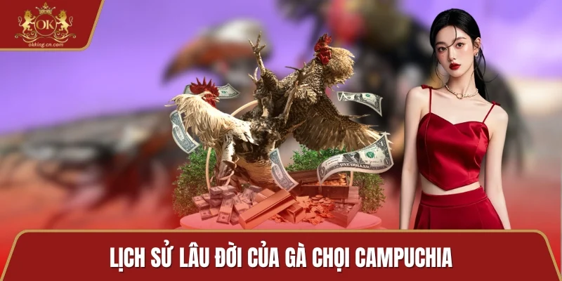 Lịch sử lâu đời của gà chọi Campuchia