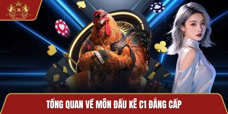 Tổng quan về môn đấu kê C1 đẳng cấp